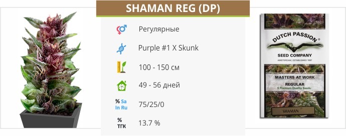 Shaman