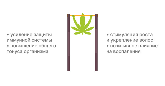 Дополнительные преимущества конопляного протеина Борьба с воспалениями и повышение общего тонуса организма