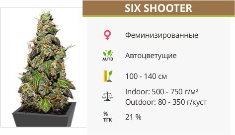 Сорт конопли Six Shooter Six Shooter от FastBuds