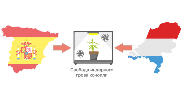 Индор или аут: выбор метода выращивания Преимущества выращивания конопли в индоре
