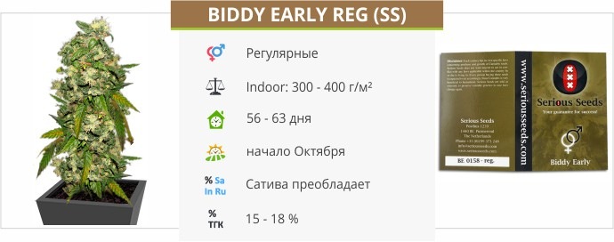 Biddy Early