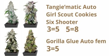 Акция 3+2 и 5+3 Акция 3+2 и 5+3