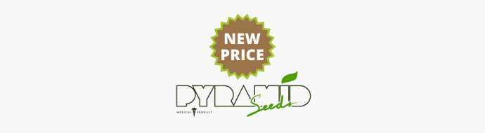 Pyramid Seeds изменил цены на свои сорта