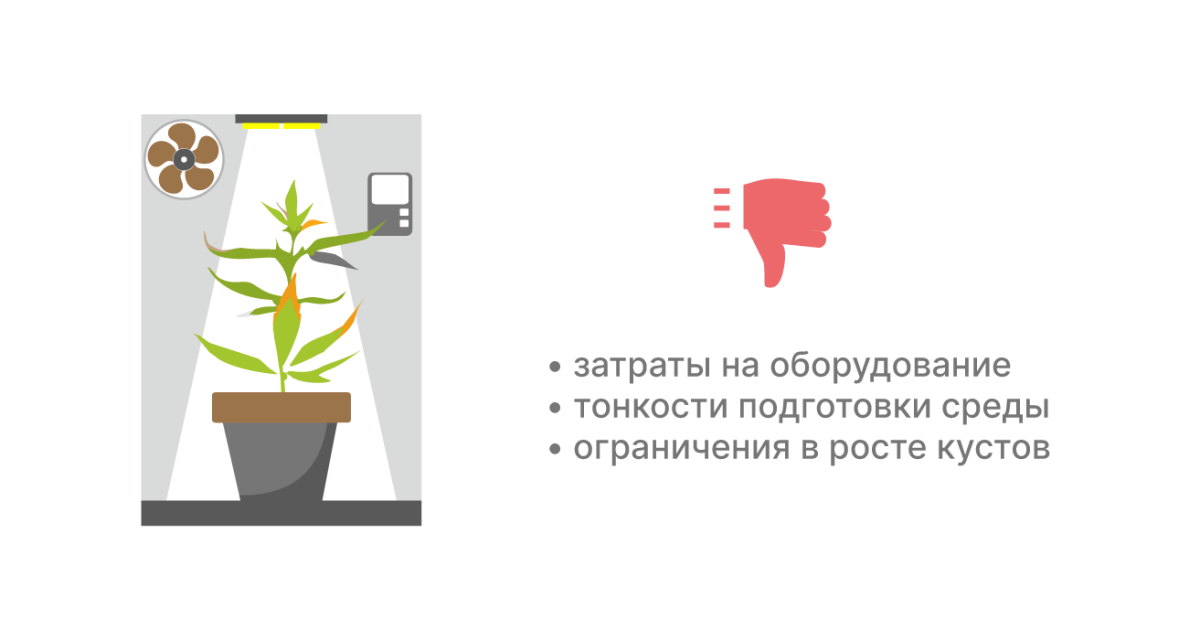 Недостатки индорного выращивания Минусы выращивания в индоре