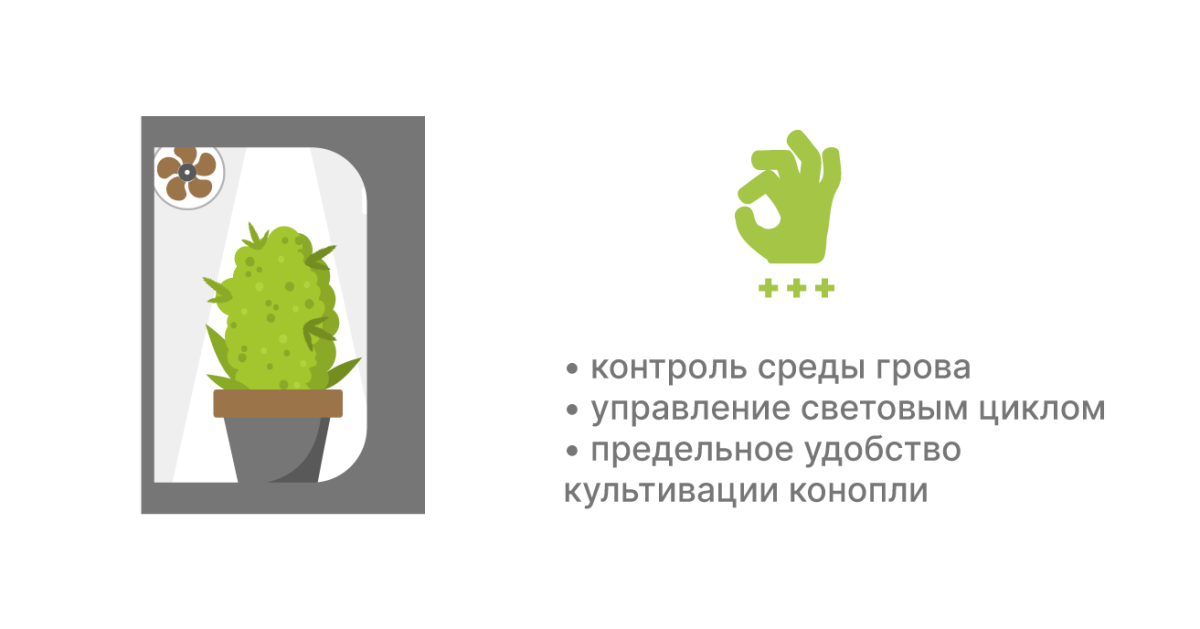Преимущества индорного выращивания Плюсы выращивания в индоре