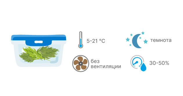 Зачем нужно пролечивать соцветия каннабиса Зачем нужно пролечивать шишки конопли