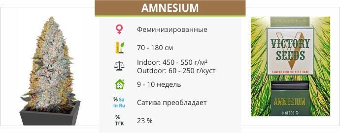 Amnesium