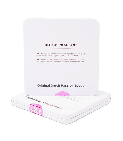 Auto Mazar fem (Dutch Passion) семена конопли