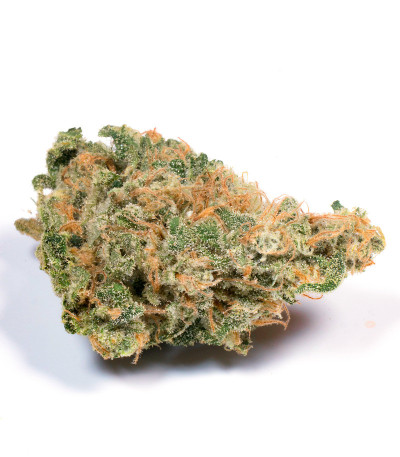 Tahoe Cure fem (Pyramid Seeds) семена конопли
