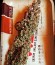 Critical + fem (Dinafem Seeds) семена конопли