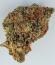 Gorilla 4 Autoflower fem (Easy Grow Seeds) семена конопли