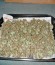 Mazar X Great White Shark fem (World of Seeds) семена конопли