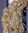 Sweet Tai fem (Sweet Seeds) семена конопли