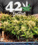 Bruce Banner Auto fem семена конопли
