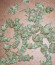 Boy Scout Cookies (Kalashnikov Seeds) семена конопли