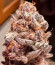 Poddy Mouth fem (Humboldt Seed Company) семена конопли