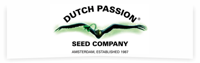 Dutch Passion Dutch Passion