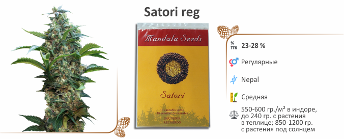 Satori Satori