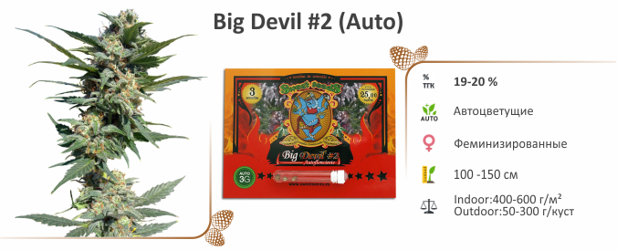 Big Devil #2 Big Devil #2 (Auto)