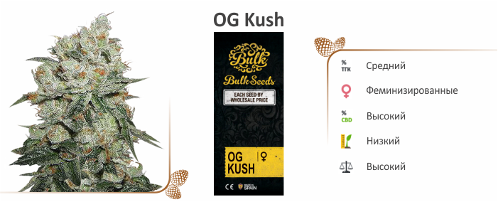 Семена OG Kush конопля OG Kush